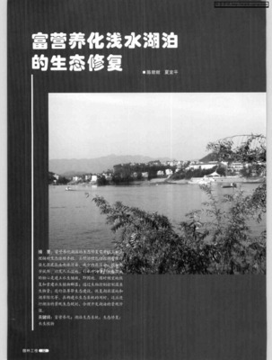 富營養化淺水湖泊中水生植被的生態恢復方法